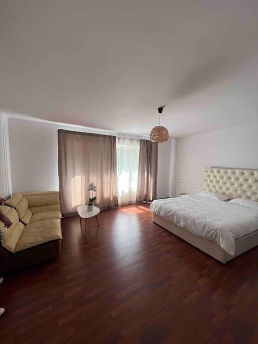 Hidden Gem Apartment In The Center Of The City Braşov Exteriör bild